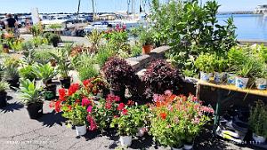 Cap d'Agde - Avant-Ports - 2 Juin 2024 - 21